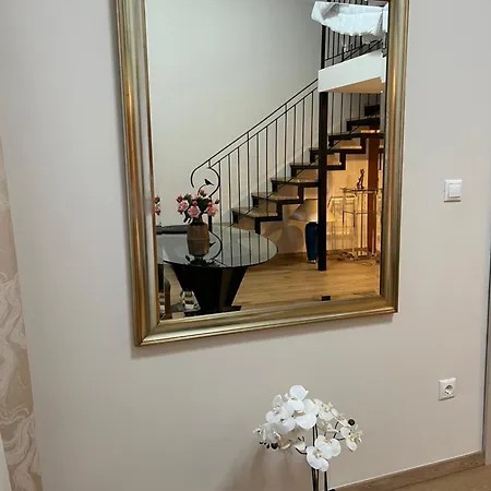 Birdonthewire * Budapest